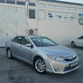 Toyota Camry 2013