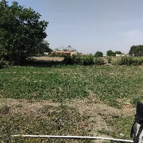 mellek yer