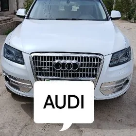 Audi Q5 2009