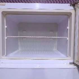 holodelnik