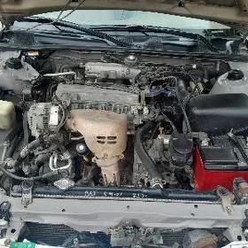 Toyota Camry 1999