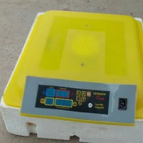 inkubator