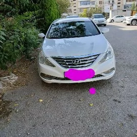Hyundai Sonata 2010
