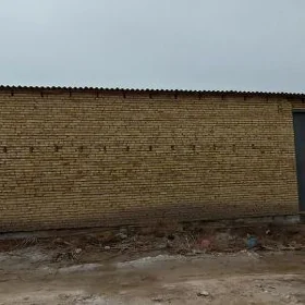 satlyk Daca