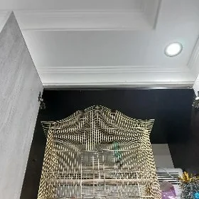 Клетка