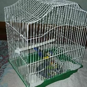 клетка