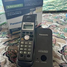 domaşnyý telefon