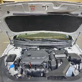 Hyundai Sonata 2019