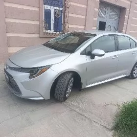Toyota Corolla 2020