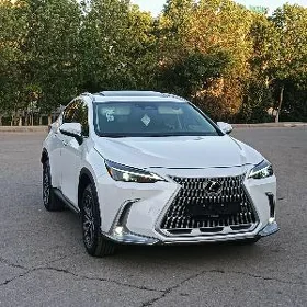 Lexus NX 350h 2025