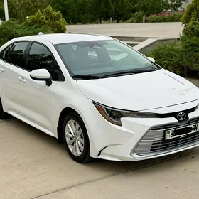 Toyota Corolla 2024