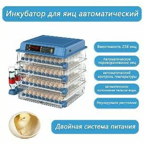 инкубатор