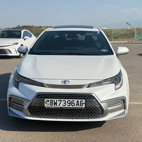 Toyota Corolla 2022