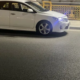 carolla disga