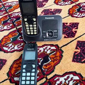 Panasonic