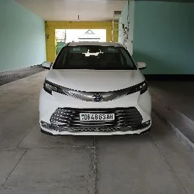 Toyota Sienna 2022