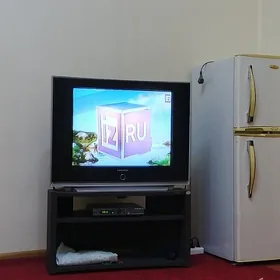 Televizor