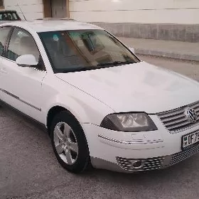 Volkswagen Passat 2004