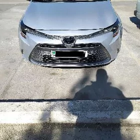Toyota Corolla 2024