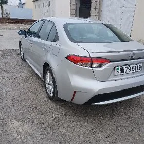 Toyota Corolla 2023