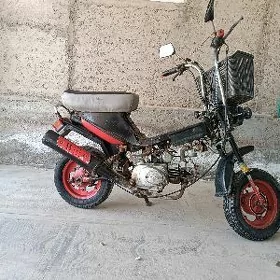 Honda Accord 2023
