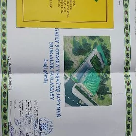 boş mellek
