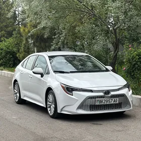 Toyota Corolla 2022