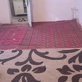 garagum koce