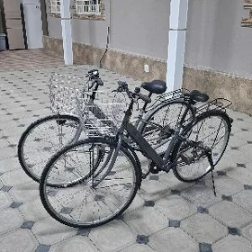 Ýapoşga Tigir 27 lik