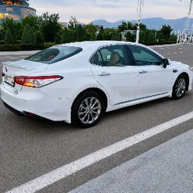 Toyota Camry 2020