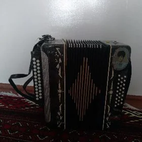 Baýan(Garmon))