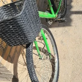 welik tigir welsopet kama