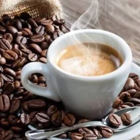 Baristo
