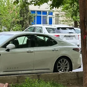 21 camry purzin