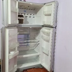 holadelnik
