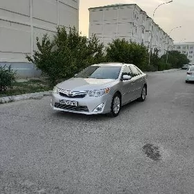 Toyota Camry 2013