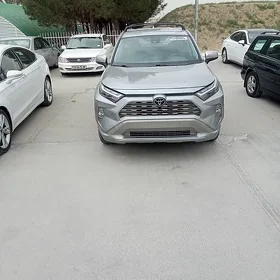Toyota RAV4 2023