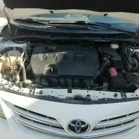 Toyota Corolla 2013