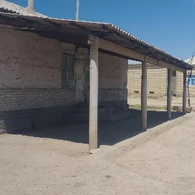 Agaç naw satlyk