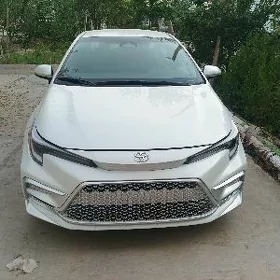 Toyota Corolla 2023