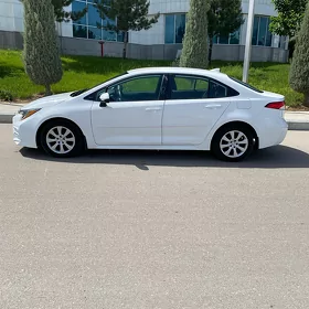 Toyota Corolla 2025