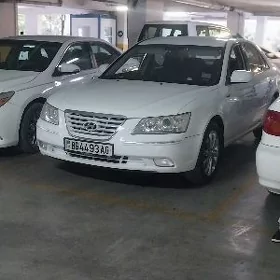Hyundai Sonata 2010