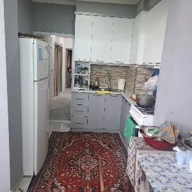 гаудан В