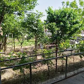 anew şatlyk jay yer