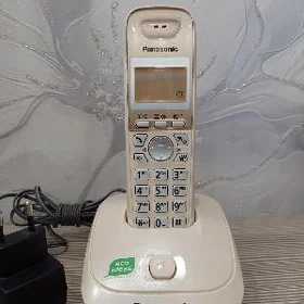 Panasonic