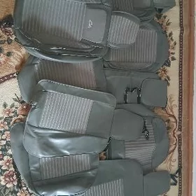 camry cehol