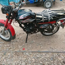 Fekon FK150-8G 2009