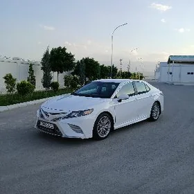 Toyota Camry 2019