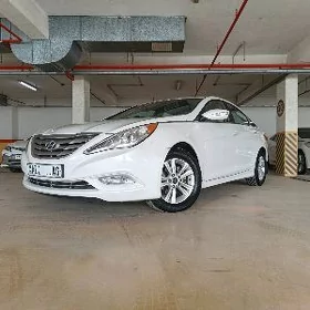Hyundai Sonata 2011