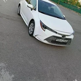 Toyota Corolla 2021